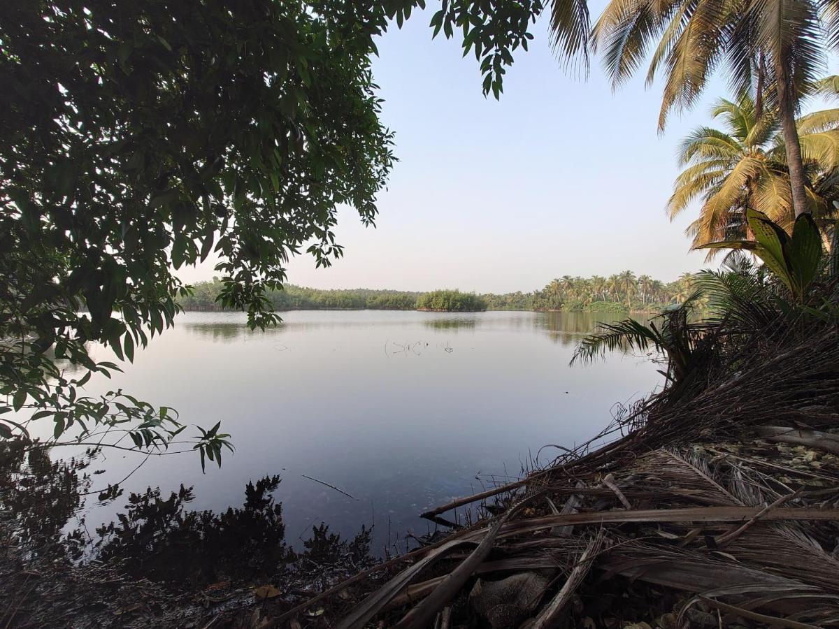 Rundbungalow Auf Lionsrest غراند - بسام المظهر الخارجي الصورة