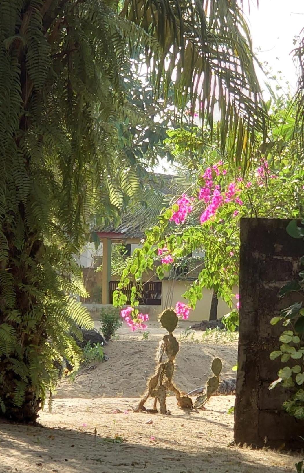 Rundbungalow Auf Lionsrest غراند - بسام المظهر الخارجي الصورة